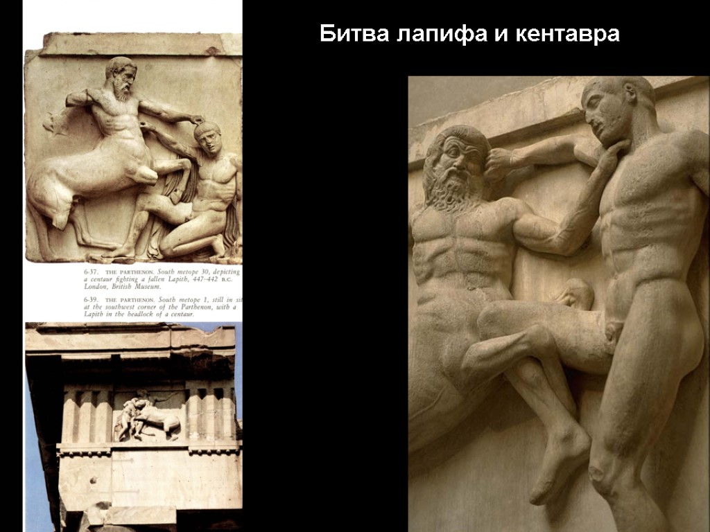 Битва лапифа и кентавра